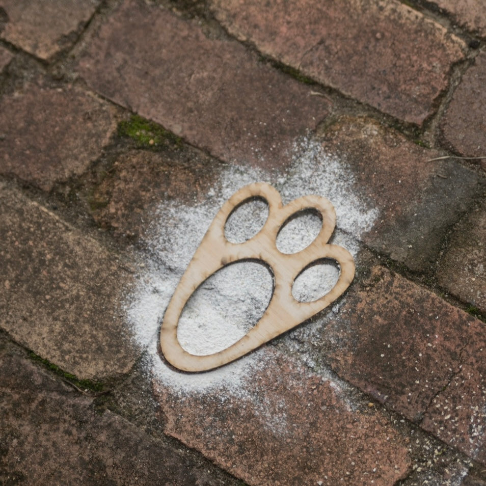 The Easter Bunny Footprint