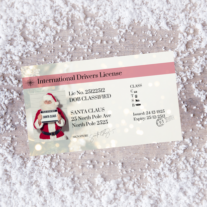 The Lost Santa License